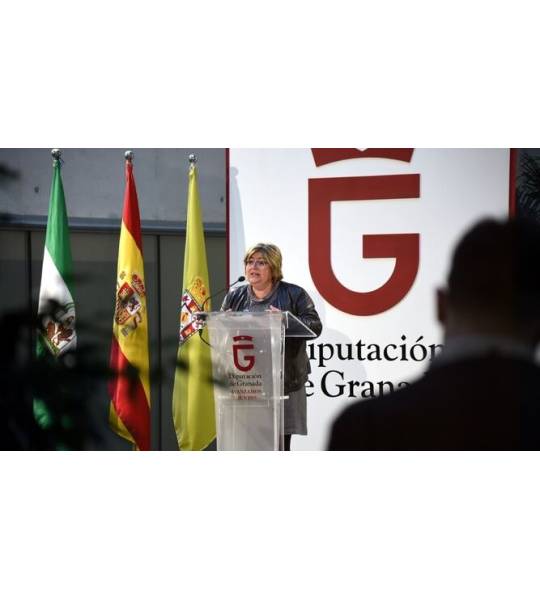 Diputadaempleo.jpg Diputadaempleo.jpg